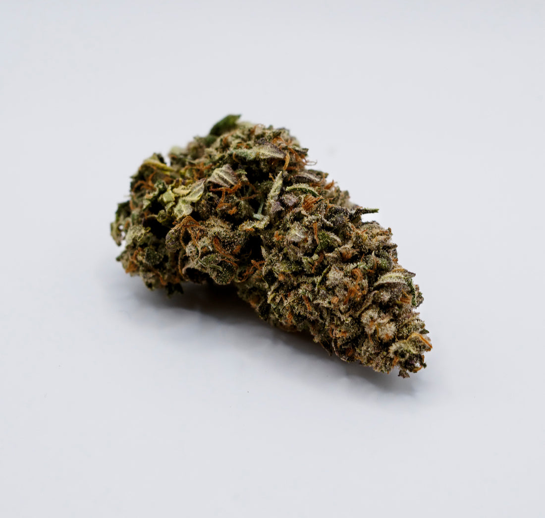 CBöD Prerolls